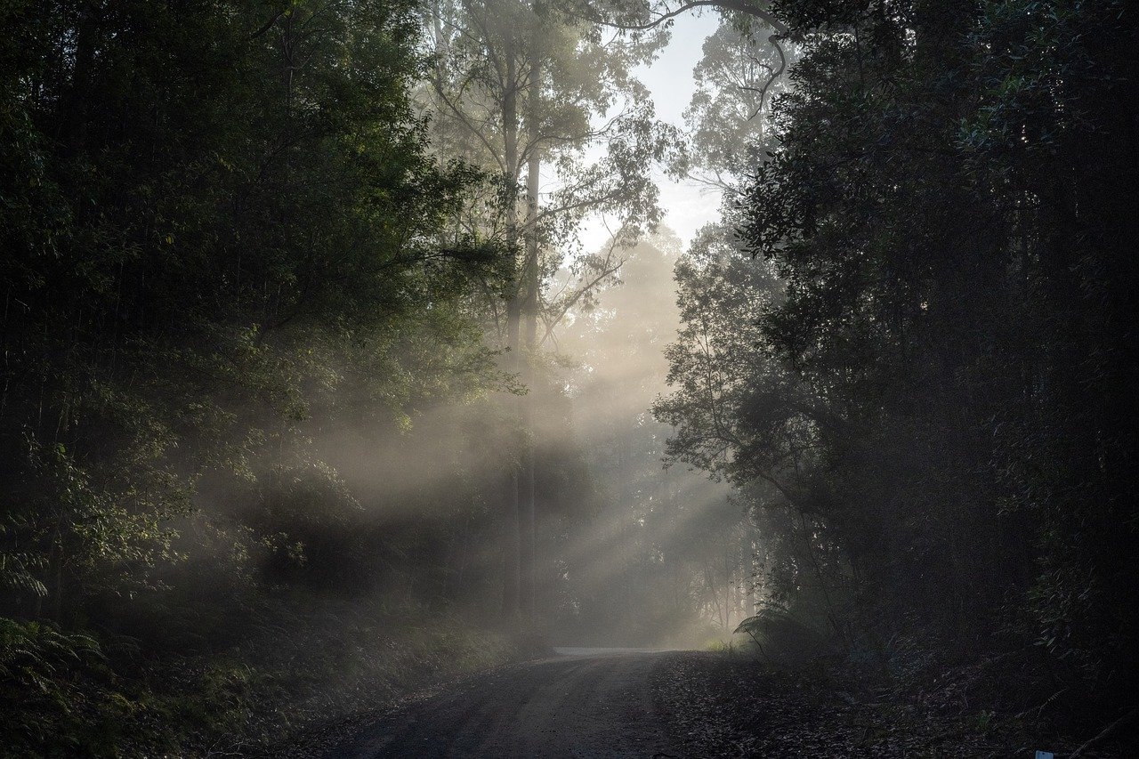 The Quiet Corners of Australia’s Kimberley Region